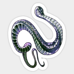 Xenodermus Javanicus dragon snake Sticker